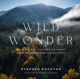 Wild Wonder Wild Wonder