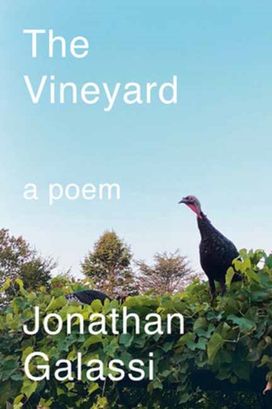 Vineyard Vineyard