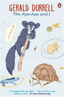 Aye-Aye and I Aye-Aye and I