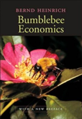 Bumblebee Economics Bumblebee Economics