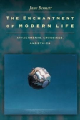 Enchantment of Modern Life