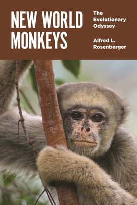 New World Monkeys New World Monkeys