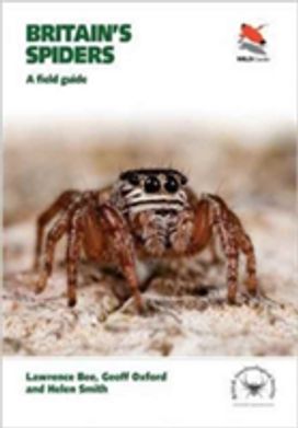 Britain's Spiders Britain's Spiders