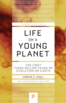 Life on a Young Planet