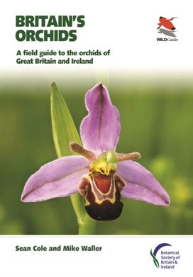 Britain's Orchids Britain's Orchids