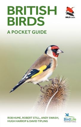 British and Irish Birds