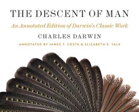 Descent of Man Descent of Man