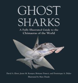 Ghost Sharks Ghost Sharks