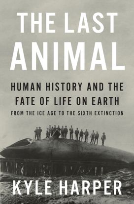 Last Animal Last Animal