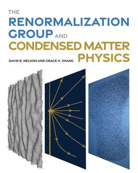 Renormalization Group and Condensed Matter Physics Renormalization Group and Condensed Matter Physics