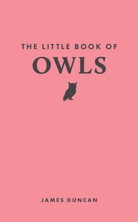 Little Book of Owls