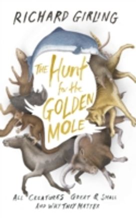The Hunt for the Golden Mole