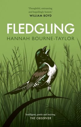 Fledgling Fledgling