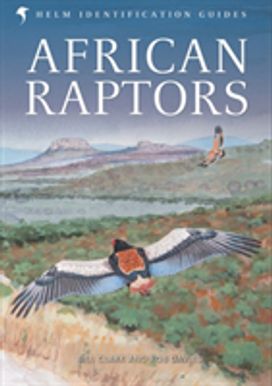 African Raptors