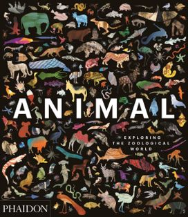 Animal Animal