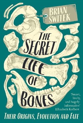 The Secret Life of Bones The Secret Life of Bones