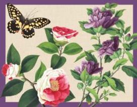 Winterthur Butterflies Desk Set