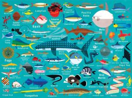 Ocean Life 1000Pc Family Puzzle Ocean Life 1000Pc Family Puzzle