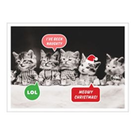 Vintage Cat Memes Half Note