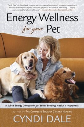 Energy Wellness for Your Pet Energy Wellness for Your Pet