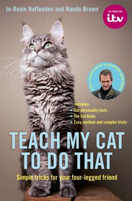 Teach My Cat to do that Teach My Cat to do that
