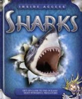 Sharks Sharks