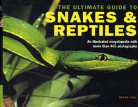 The Ultimate Guide to Snakes & Reptiles