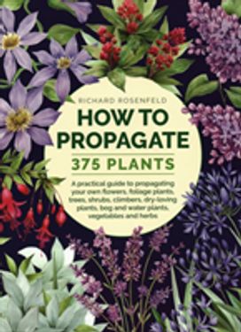 How to Propagate 375 Plants How to Propagate 375 Plants