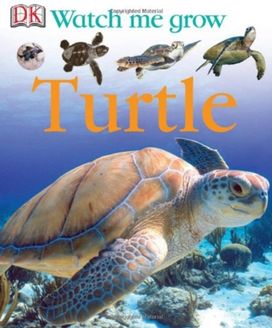 Watch Me Grow Turtle Watch Me Grow Turtle