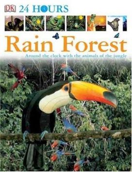 Dk 24 Hours Rain Forest Dk 24 Hours Rain Forest