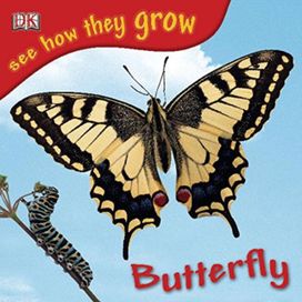See how They Grow Butterfly