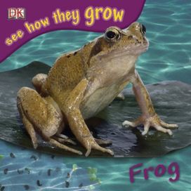 See how They Grow Frog