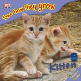 See how They Grow Kitten See how They Grow Kitten