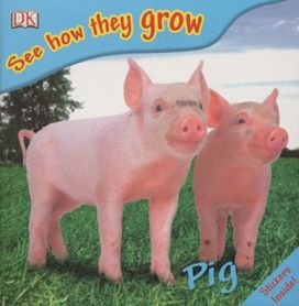 See how They Grow Pig See how They Grow Pig