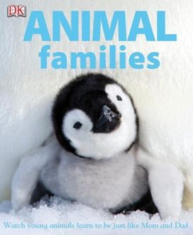 Animal Families Animal Families