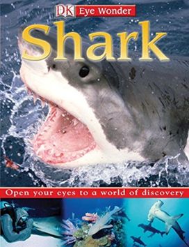 Eye Wonder Sharks Eye Wonder Sharks