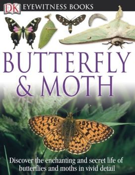 Dk Eyewitness Books Butterfly and Moth