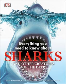 Everything You Need to Know About Sharks Everything You Need to Know About Sharks