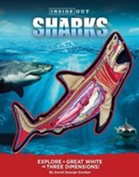 Inside Out Sharks