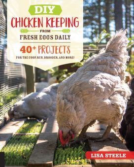 Diy Chicken Keeping from Fresh Eggs Daily Diy Chicken Keeping from Fresh Eggs Daily