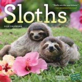 Sloths Wall Calendar 2016