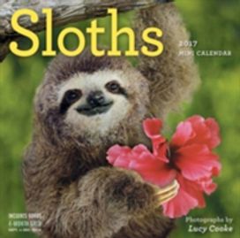 Sloths Mini Wall Calendar 2017 Sloths Mini Wall Calendar 2017