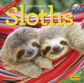 Sloths Wall Calendar 2018 Sloths Wall Calendar 2018