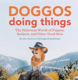 Doggos Doing Things Doggos Doing Things