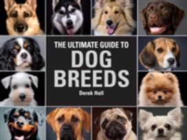 The Ultimate Guide to Dog Breeds The Ultimate Guide to Dog Breeds