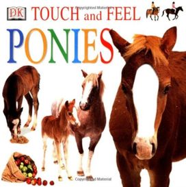 Touch and Feel Ponies