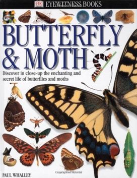 Dk Eyewitness Books Butterfly and Moth Dk Eyewitness Books Butterfly and Moth