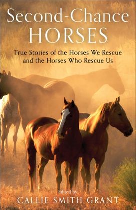 Second–Chance Horses – True Stories of the Horses We Rescue and the Horses Who Rescue Us Second–Chance Horses – True Stories of the Horses We Rescue and the Horses Who Rescue Us