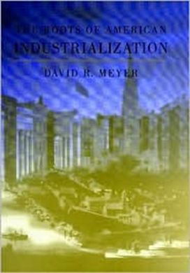 The Roots of American Industrialization The Roots of American Industrialization