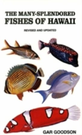 Many-Splendored Fishes of Hawaii